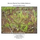 Recovery Plan for Texas golden gladecress coversheet with image of plant with wiry stalks top with pea-like pods growing centrally from a wet ground.