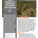 first page of handout