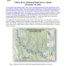 Trinity River Salmon Spawn Survey Update - December 20, 2024