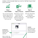 City Nature Challenge iNaturalist Guide - English and Spanish