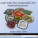 2025 ISRP Steelhead Review