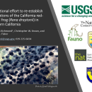 2025 Spring Tribal Coordination Meeting - California red legged frog reintroduction
