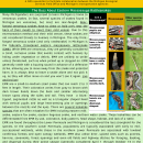 The Wildlife Crossing Volume 8