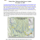 Trinity River Salmon Spawning Survey Update - November 21, 2025