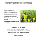 Golden Paintbrush Hybridization Memorandum of Understanding