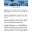 Executive Summary FWS Sea Otter Feasibility Study 2022.pdf