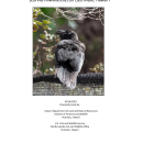 Final DRAFT EA for Alala Release on East Maui 2023.10.16_converted-checked for 508 compliant.pdf