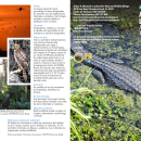 ARM Loxahatchee NWR General Brochure Spanish