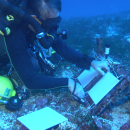 Anthony Montgomery, a marine biologist with the U.S. Fish and Wildlife Service lays out plates used to collect marine cryptobiota, cryptic invertebrates that serve as building blocks for coral, long the ocean floor. 