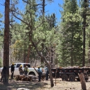 Image of a crew cutting firewood and preparing firewood for transportation in front of a white truck