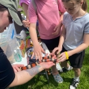 Kids petting snake