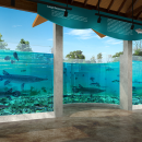 Renovation mock-up shows an example of the large, updated aquariums being built at the Texas Freshwater Fisheries Center.