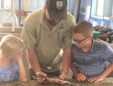 Deputy Manager of Edenton NFH, Sam Pollock, shows lake sturgeon to children