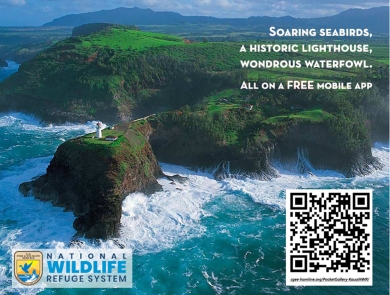 Overhead photo of a green island with a dramatic point over 200 feet high with waves crashing on the cliff. There is a lighthouse at the end of the point. 