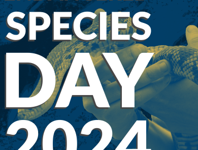 Graphic of a Louisiana pinesnake over an acid washed background. Text reads Endnagered Species Day.