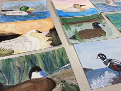 An image of eight pieces of artwork on a plain white table. The art depicts different duck and swan species.