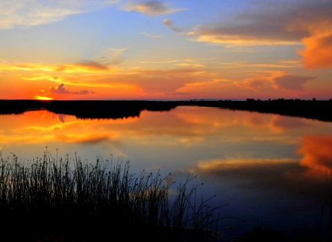 Wetlands at Sunseton Seedskedee National Wildlife Refuge