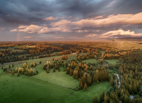 A working farm in the coastal Pacific Northwest 