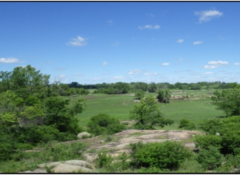 Granite Outcrops Surrounded by Trees