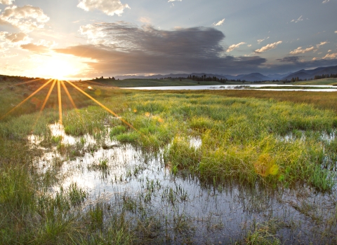 Partners for Fish and Wildlife: Jones Lake Wetland Site at The Rolling Stone Ranch in Ovando, Montana