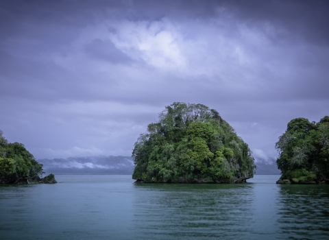 Los Haitises National Park Dominican Republic