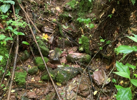 Water trickling down mountain stream