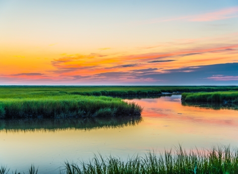 river flowing through green field under clear sky with orange in it