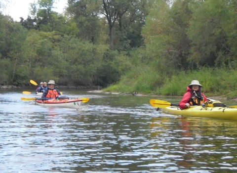 kayakers float down the Mississippi river backwaters along the canoe trail