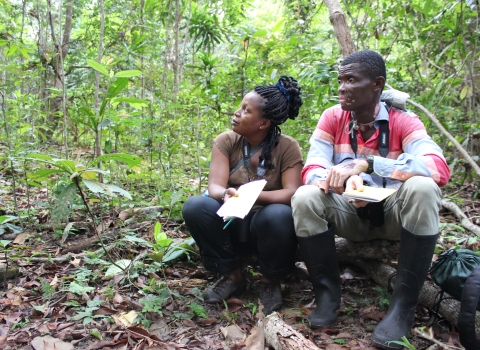 Two people dressed in field clothes take a break in the forest, holding notebooks. The woman, sitting to the left, looks up towards the canopy