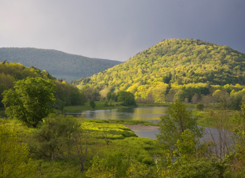 A landscape with a wetland and rolling green hills