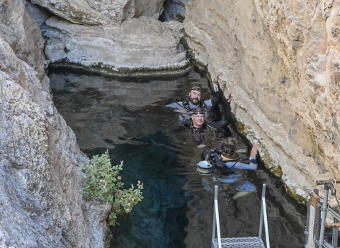 three scuba divers in water