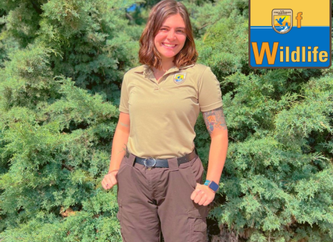 Kayla Feist stands in front of pine trees wearing a USFWS uniform. The WoW: Women of Wildlife logo is in the upper right hand corner of the photo.