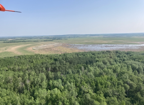 Aerial view of a landscape with forest and wetlands