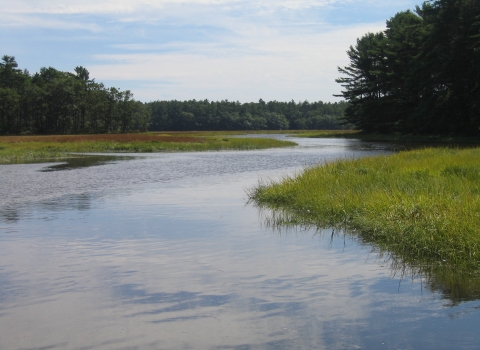A wide river stretches from the foreground to the background, edged by bright green grasses and dark green trees, with a cloudy sky above