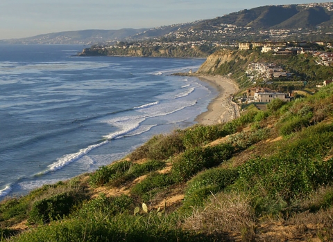 Landscape of beach cliff covered in green plants and rolling tide