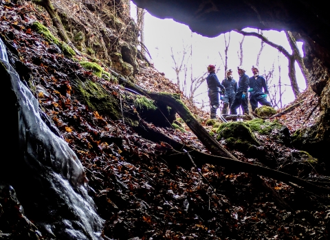 A group of four biologists wearing coveralls and helmets stand just outside the entrance to a mine