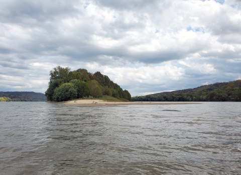 Manchester 1 Island sandbar