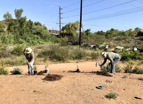 Two individuals on opposite ends are on a dry, almost empty garden planting native plants.