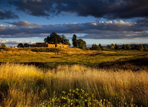 Sunset with clouds in the sky, building on top of hill overlooking wetland filled with grass and other plants 
