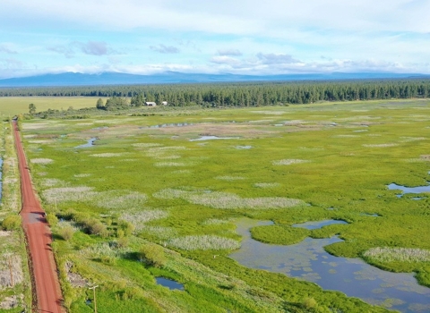 Klamath Marsh Refuge from the air looking West