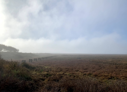 Foggy morning during sunrise. The blue sky breaks through gradually as the image moves to the right. Marsh plants are a brown, red color. 