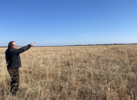 Male wildlife biologist points to a skein of snow geese crossing high above the Howell Tract.