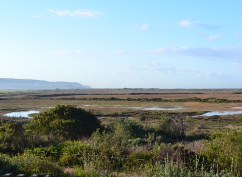High tide on the marsh.