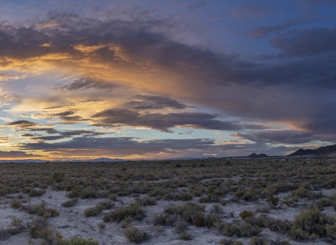 Sunset over the desert