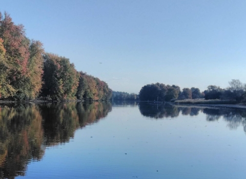 Part of the canal located at the Montezuma Wildlife Refuge