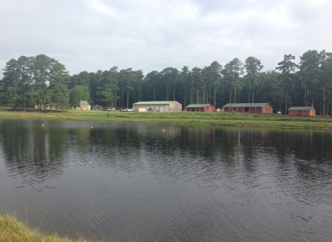 Photo of the Harrison Lake National Fish Hatchery. Photo shows hatchery buildings and tall pine trees in the back ground, hatchery pond in the foreground