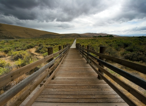 Into The Storm - Toppenish NWR Boardwalk