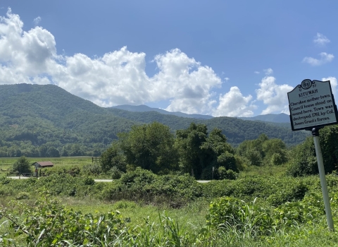 Carp jumping at Lake Barkley Dam.