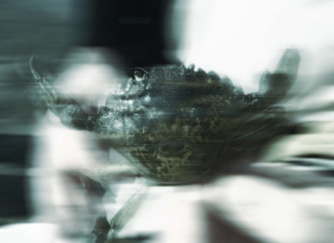 Eerie blue coloring of a blurred image of person holding invasive green crab