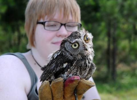 Injured owl held in hand.